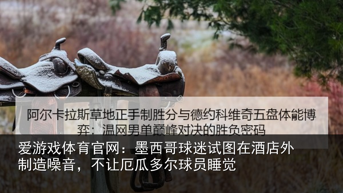 爱游戏体育官网：墨西哥球迷试图相关情况，不让相关情况