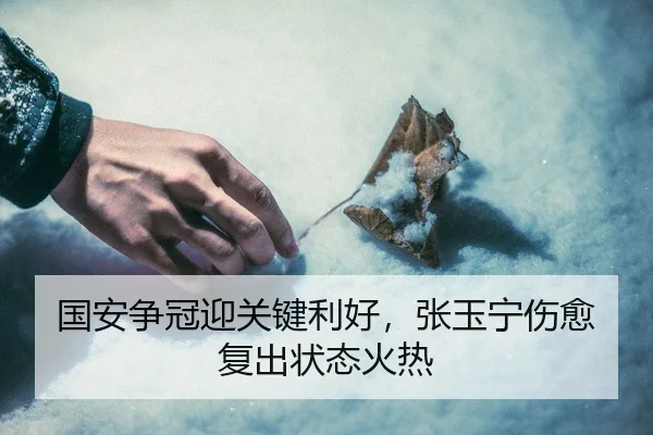 guo-an-zheng-guan-ying-guan-jian-li-hao-zhang-yu-ning-shang-yu-fu-chu-zhuang-tai-huo-re-2-660.jpg