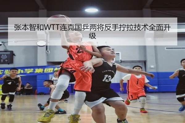 张本智和WTT连克国乒两将反手拧拉技术全面升级