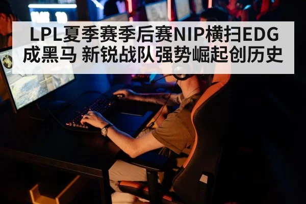 LPL夏季赛季后赛NIP横扫EDG成黑马 新锐战队强势崛起创历史